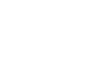 Salamandre