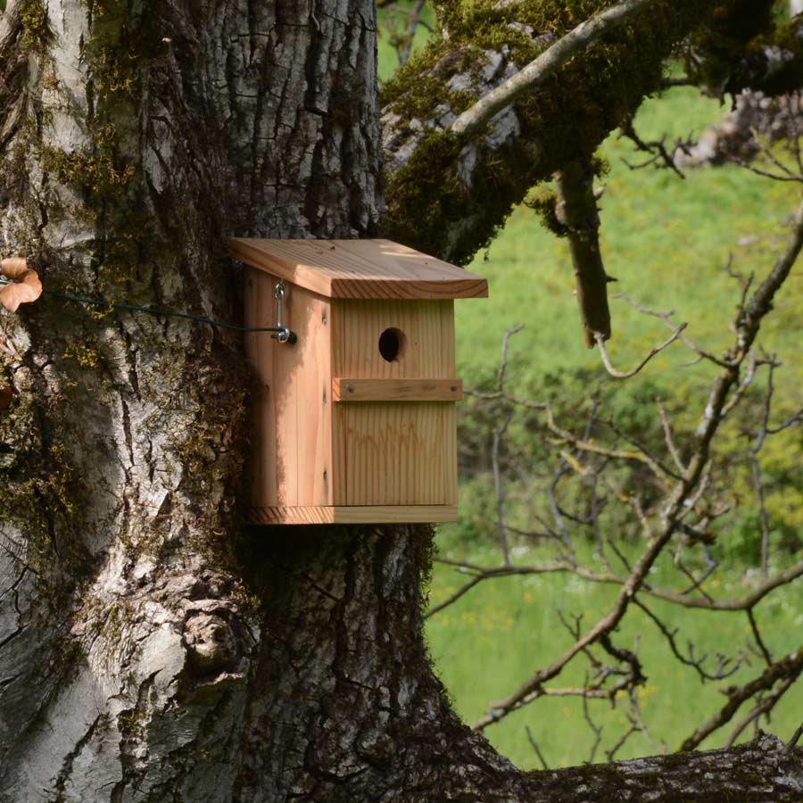 nichoirs autour du gîte