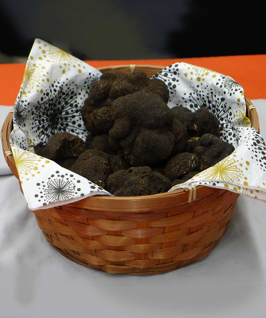 Truffes du Lot