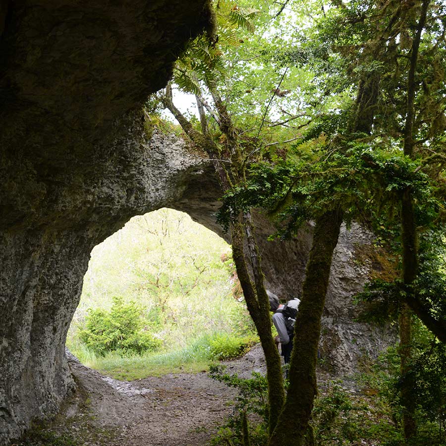 arche de roche
